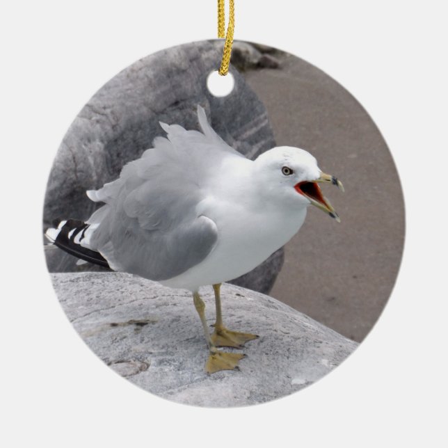 Décoration En Céramique Mouette fâchée (Devant)
