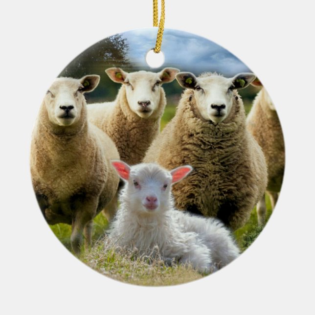 Décoration En Céramique Mouton d'agneau de bébé (Devant)