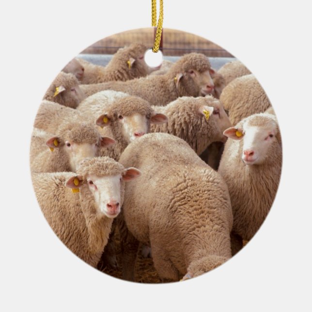 Décoration En Céramique Moutons (Devant)