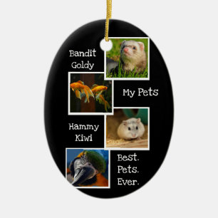 Décoration En Céramique My Pets Photo Collage Meilleurs Animaux De Fête J