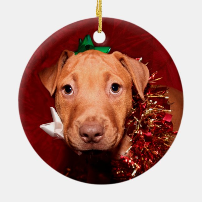 Décoration En Céramique Noël du chiot de Pitbull (Dos)