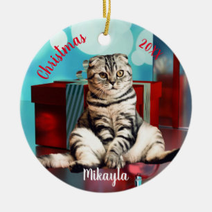 Décoration En Céramique Noël écossais de chat plié détendu