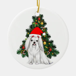 Décoration En Céramique Noël maltais, Noël Chien maltais de Noël avec chap