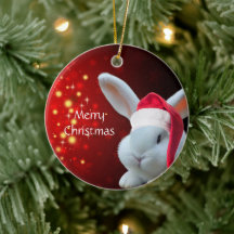 Noël Père Noël Bunny
