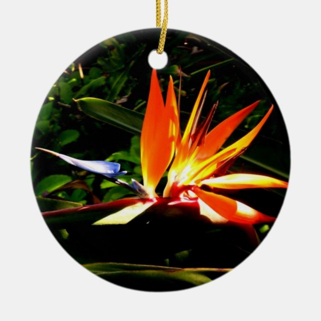 Décoration En Céramique Oiseau du Paradis (Devant)