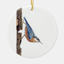 Oiseau Nuthatch (Sitta Europaea)