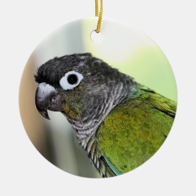 Décoration En Céramique Ollie wallie (Devant)