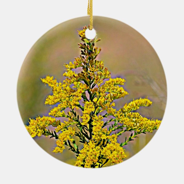 Décoration En Céramique Or du Nébraska (Dos)