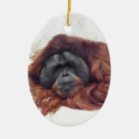 Orang-outan