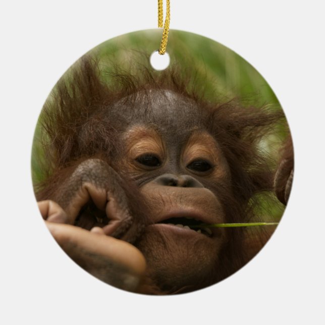 Décoration En Céramique Orangutan Baby (Devant)