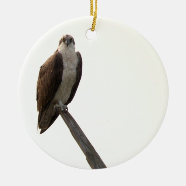 Décoration En Céramique Osprey Bird Ornament  (Devant)