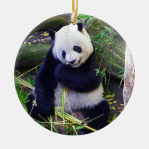 Décoration En Céramique Panda au zoo de San Diego