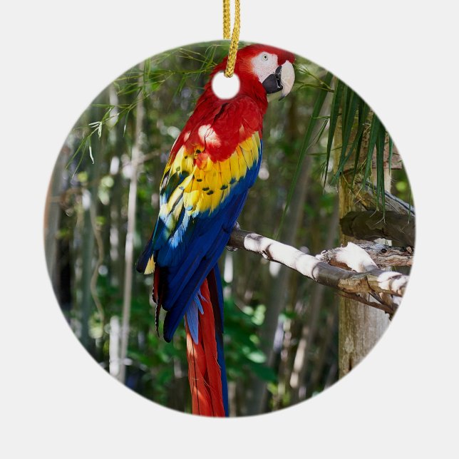 Décoration En Céramique Parrot Macaw à l'écarlate (Devant)