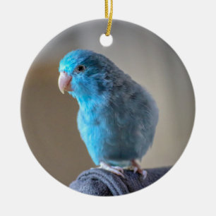 Décoration En Céramique Parure bleue