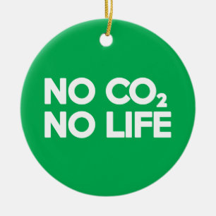 DÉCORATION EN CÉRAMIQUE PAS DE CO2 PAS DE VIE