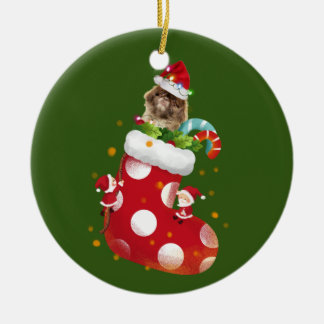 Décoration En Céramique Pekingese Avec Chaussure