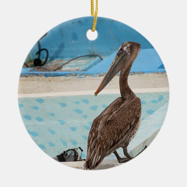 Décoration En Céramique Pélican Brown | Cabo San Lucas (Devant)