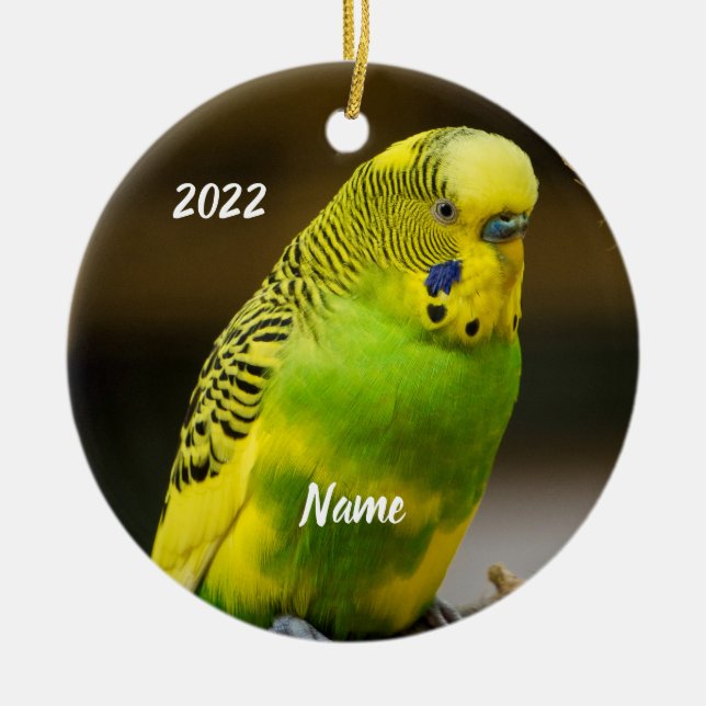 Décoration En Céramique Perruche Budgie anglaise personnalisée (Devant)