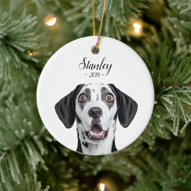 Décoration En Céramique personalize pet name & picture (Arbre)