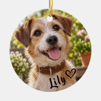 Décoration En Céramique Personalized Pet Photo Acrylic
