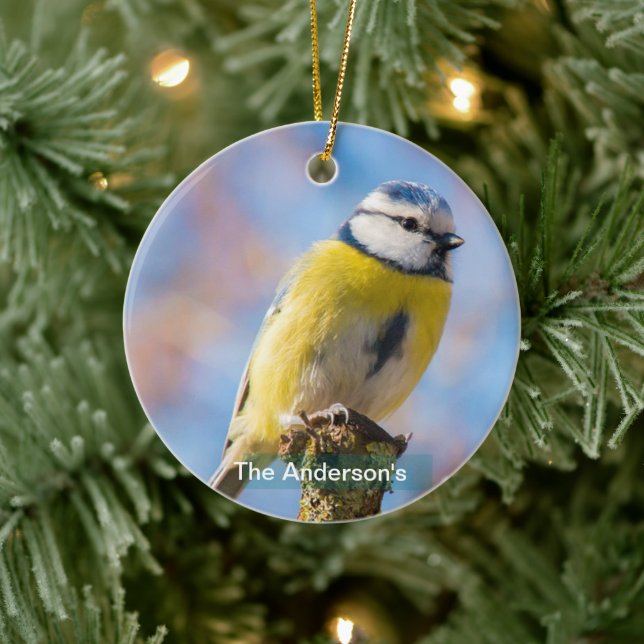 Décoration En Céramique Personnalisé Bleu Jaune Oiseau Photo Personnalisée (Arbre)