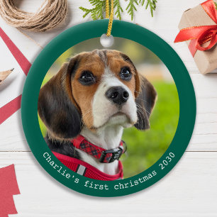 Décoration En Céramique Pet Chiot Premier Noël Personnalisé Chien Photo Fê