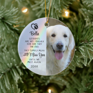 Décoration En Céramique Pet Dog Memorial Goodbye Devis Photo Rainbow