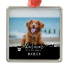 Pet Memorial Keepsaké personnalisé 2 chien photo