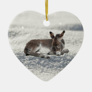 Décoration En Céramique Petit Bébé âne dans la neige