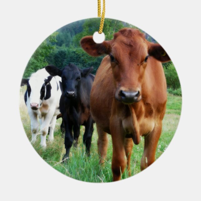 Décoration En Céramique Petit troupeau de trois vaches (Devant)