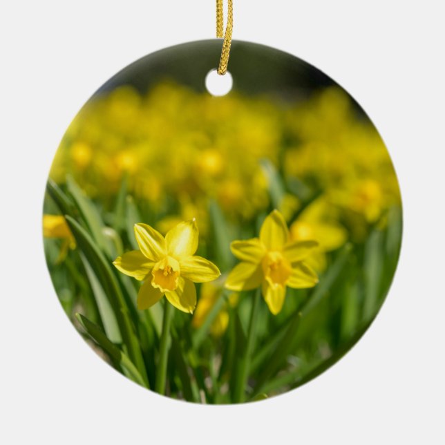 Décoration En Céramique Petites jonquilles (Devant)