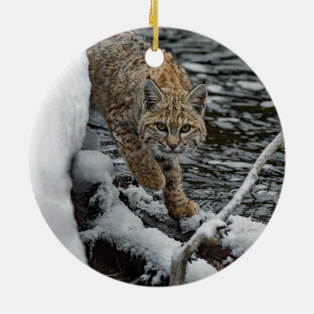 Décoration En Céramique Photo Bobcat Eau de neige (Dos)