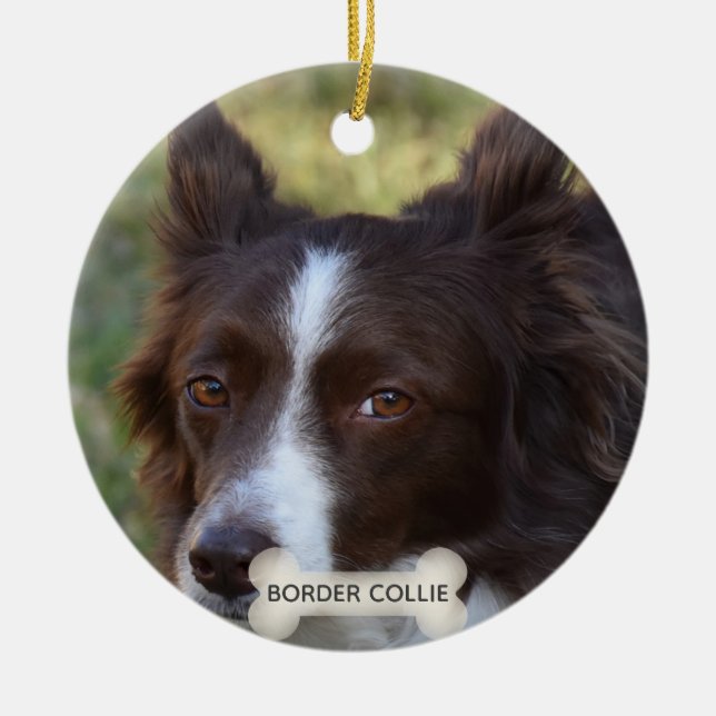 Décoration En Céramique Photo Brown personnalisée Collie Dog (Devant)