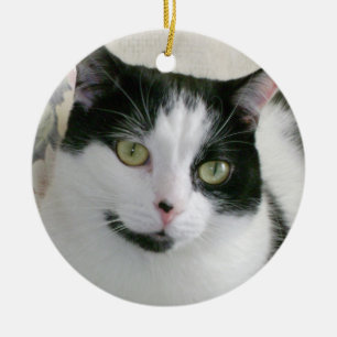 Décoration En Céramique Photo Cat