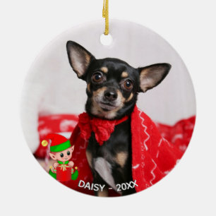 Décoration En Céramique Photo Chihuahua Chig personnalisée avec un Elf mig