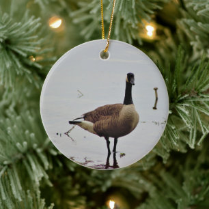 Décoration En Céramique Photo de Canada Goose