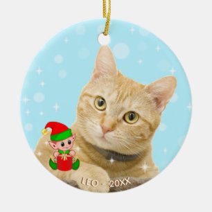 Décoration En Céramique Photo de chat Tabby Ginger personnalisée avec Elf