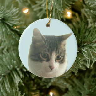 Décoration En Céramique Photo de chat tigré personnalisée sur fond bleu cl