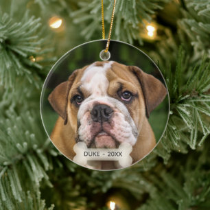 Décoration En Céramique Photo de Chien à Chien à Chien