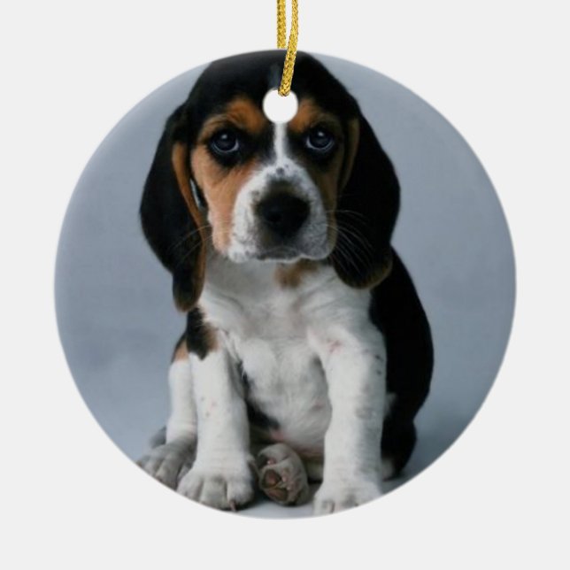 Décoration En Céramique Photo de chiot de beagle (Devant)
