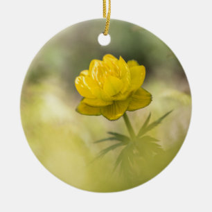 Décoration En Céramique Photo de la Fleur Jaune