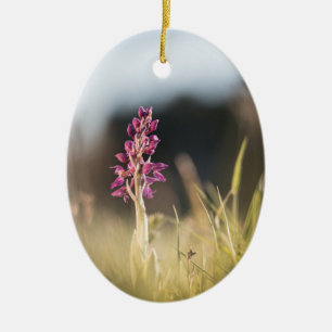 Décoration En Céramique Photo de la nature sauvage de l'orchidée