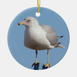 Décoration En Céramique Photo de mouette