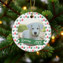 Photo de pattes d'animaux de Noël