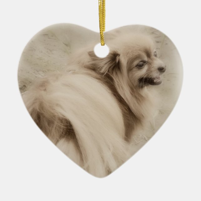 Décoration En Céramique Photo de Pomeranian - Pom rêveur (Devant)