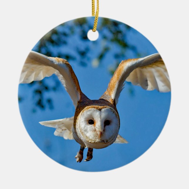 Décoration En Céramique Photo de vol de Barn Owl (Devant)