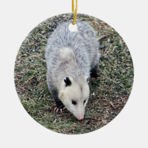 Décoration En Céramique Photo Opossum