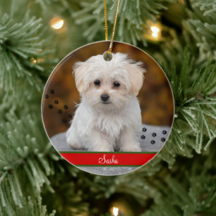 Décoration En Céramique Photo personnalisée pour animal de compagnie ~ Per