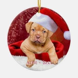 Décoration En Céramique Photo Pitbull Chien Chien Personnalisé