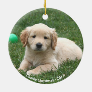 Décoration En Céramique Photo sur mesure Golden Retriever Puppy